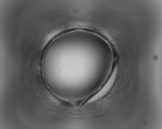 X0000092261312200709281156