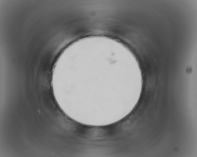 X0000092261314200709281156