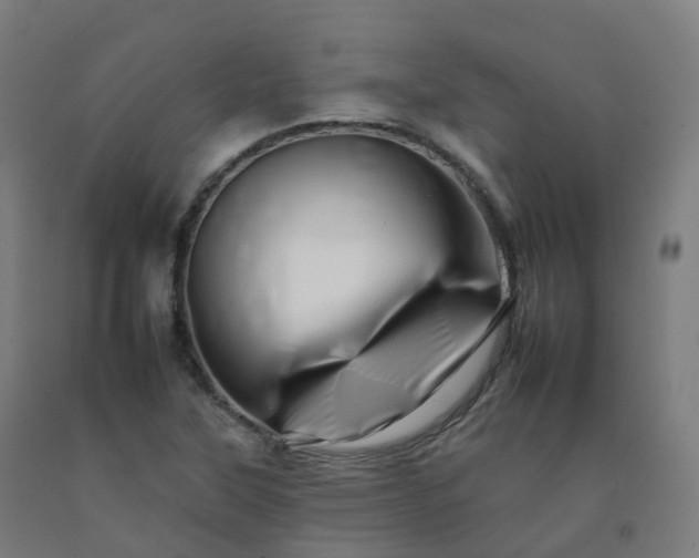 X0000092261315200709281156