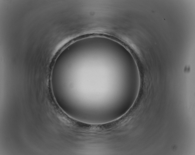 X0000092261316200709281156