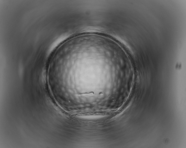 X0000092261317200709281156