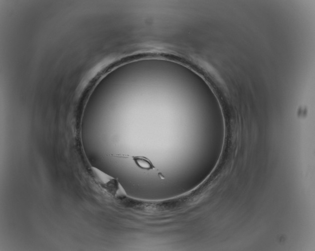 X0000092261318200709281156