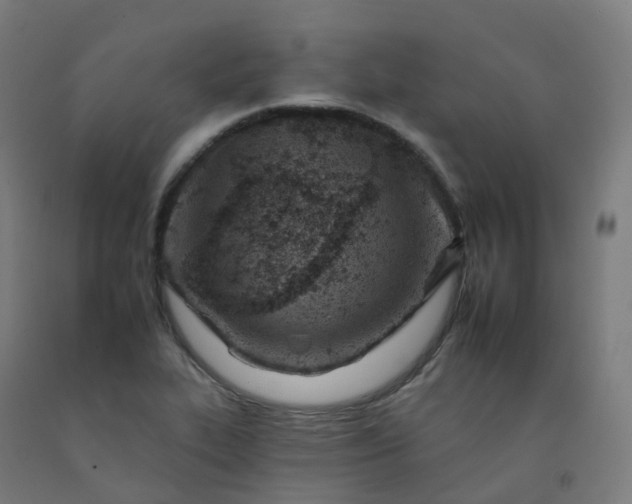 X0000092261319200709281156