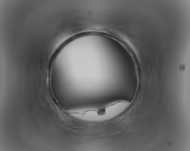 X0000092261320200709281156