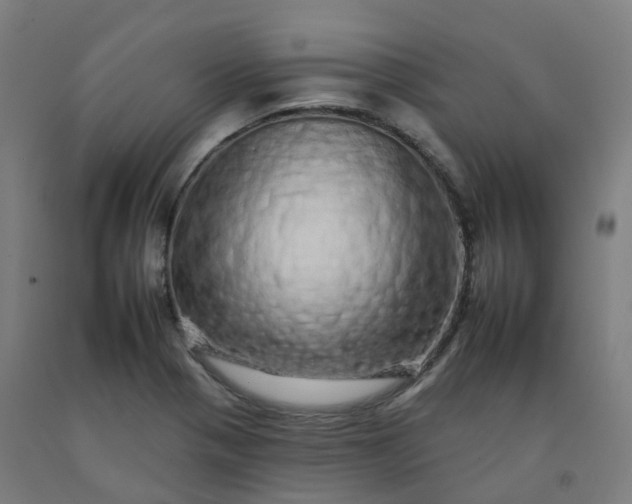 X0000092261321200709281156