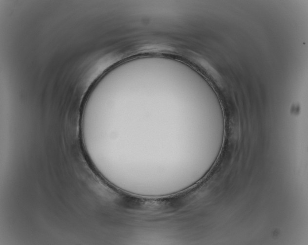 X0000092261322200709281156