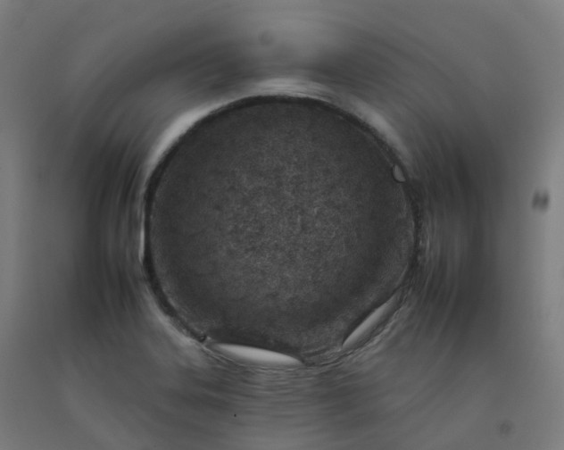 X0000092261323200709281156