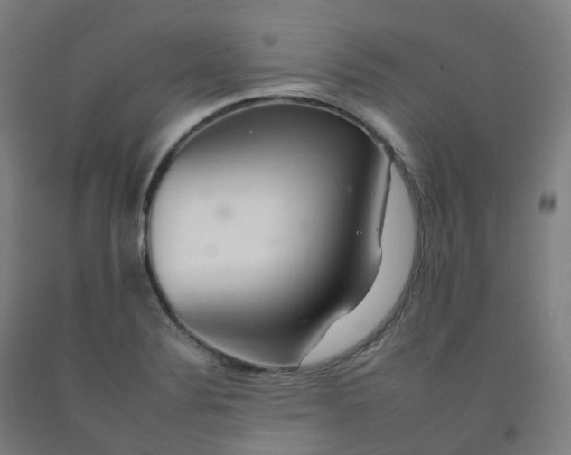 X0000092261324200709281156