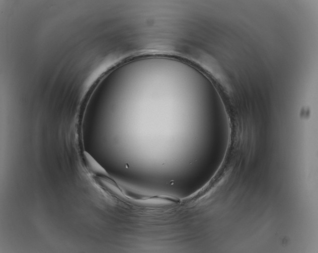 X0000092261325200709281156