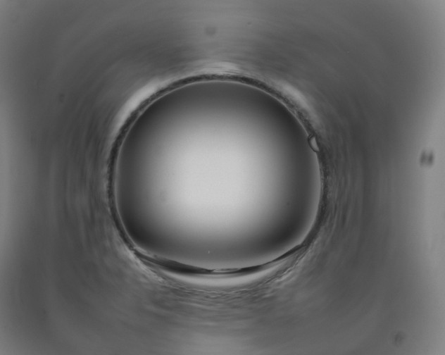 X0000092261326200709281156