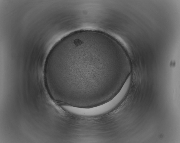 X0000092261327200709281156