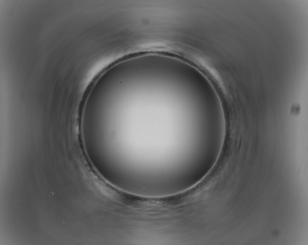 X0000092261328200709281156