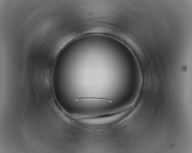 X0000092261329200709281156