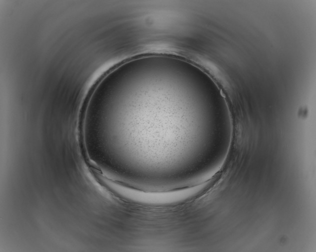 X0000092261331200709281156