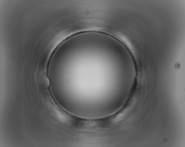 X0000092261332200709281156