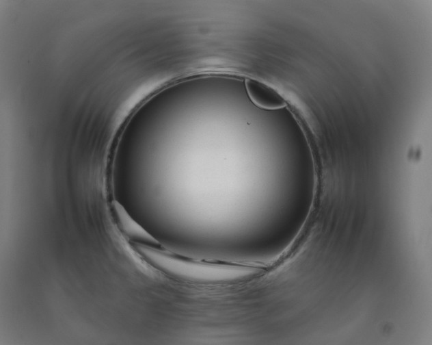 X0000092261333200709281156