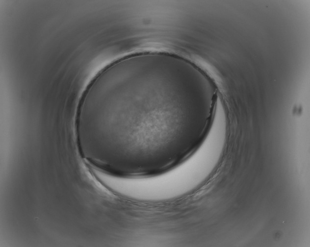 X0000092261334200709281156