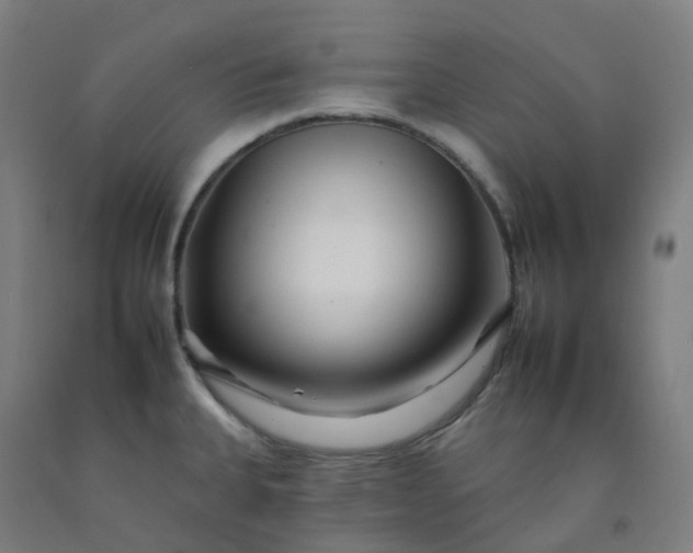 X0000092261335200709281156