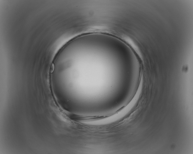 X0000092261336200709281156