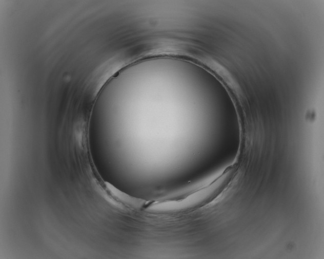 X0000092261337200709281156