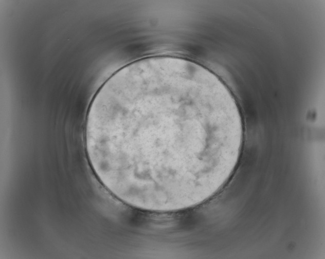 X0000092261338200709281156