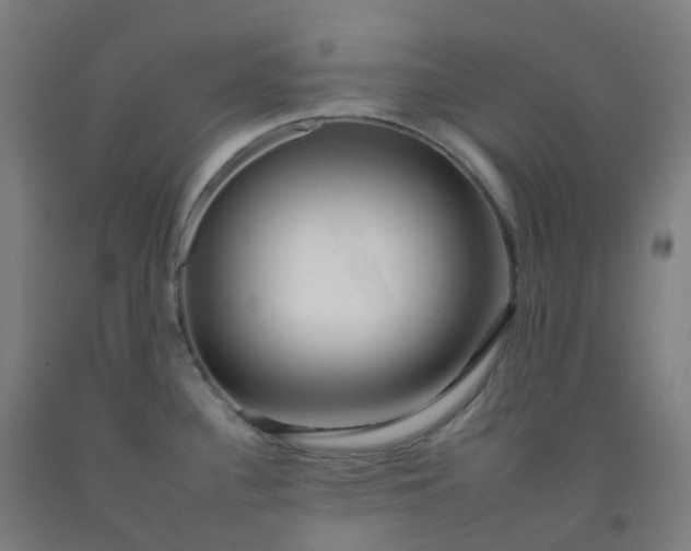 X0000092261340200709281156