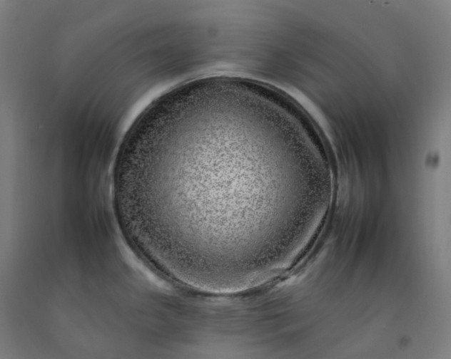 X0000092261341200709281156