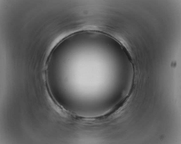 X0000092261342200709281156