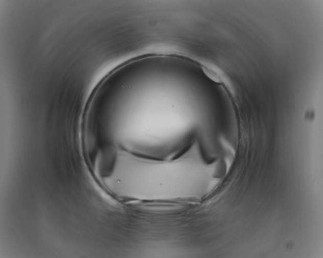 X0000092261343200709281156