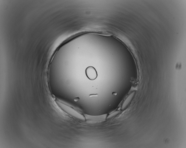 X0000092261344200709281156