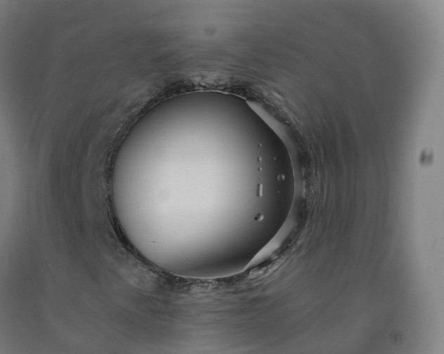 X0000092261345200709281156