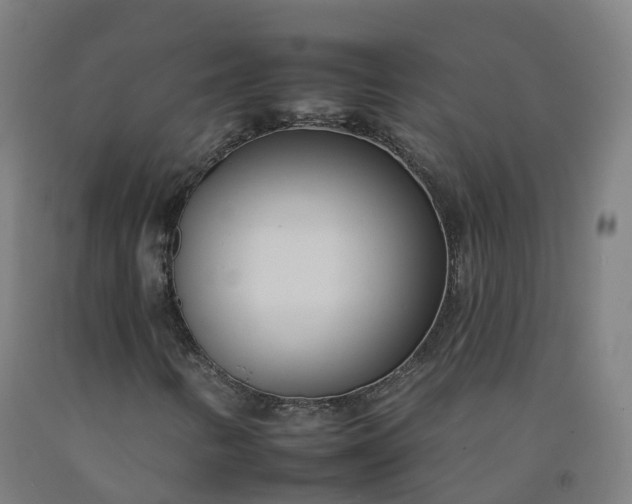 X0000092261346200709281156