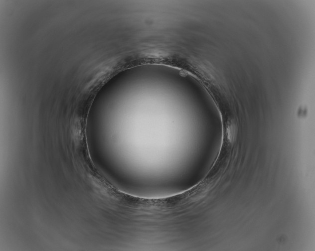 X0000092261347200709281156