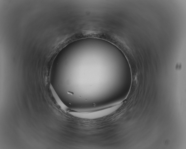 X0000092261348200709281156