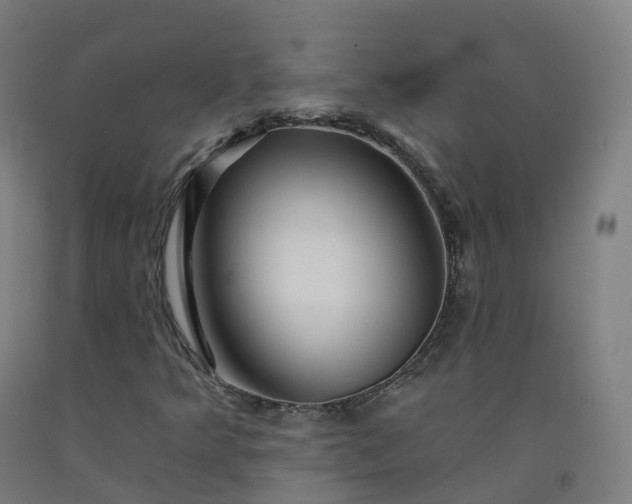 X0000092261349200709281156