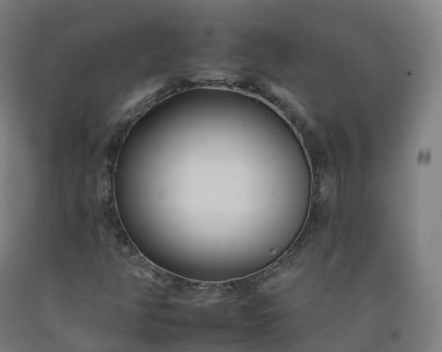 X0000092261350200709281156