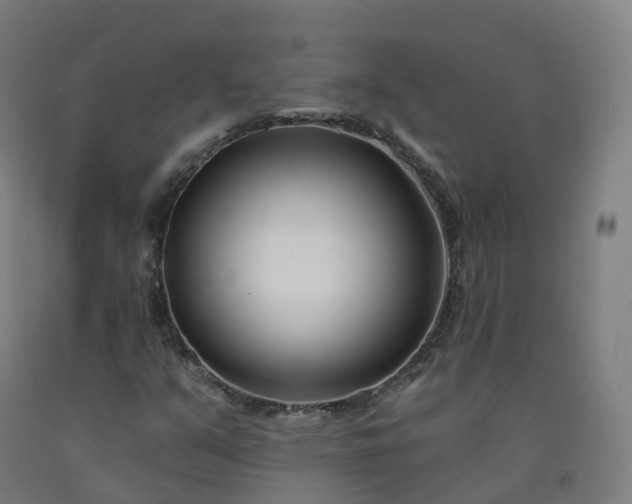 X0000092261351200709281156