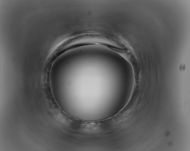 X0000092261352200709281156