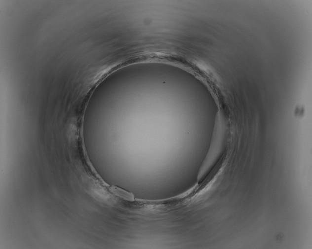 X0000092261353200709281156