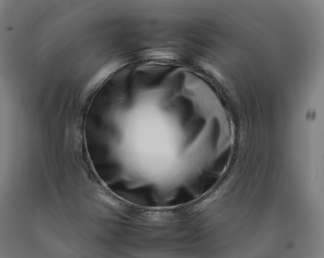 X0000092261354200709281156