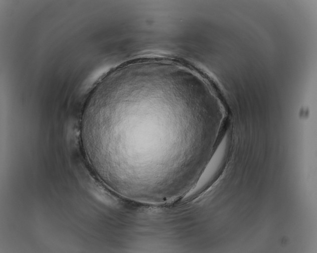 X0000092261355200709281156