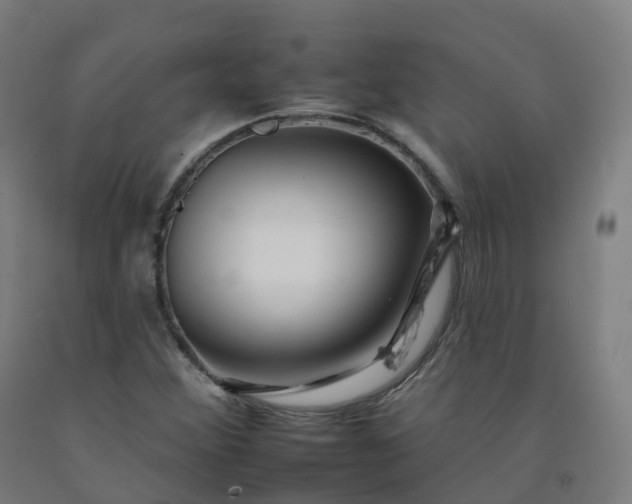 X0000092261356200709281156