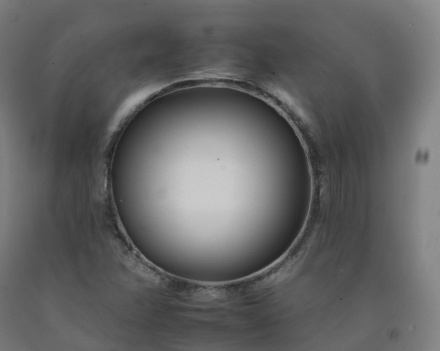 X0000092261358200709281156