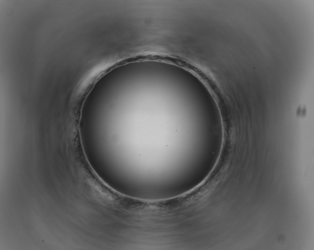 X0000092261359200709281156