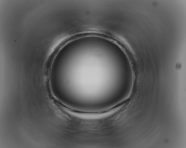 X0000092261360200709281155