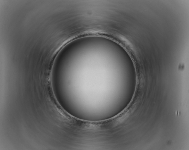 X0000092261361200709281155