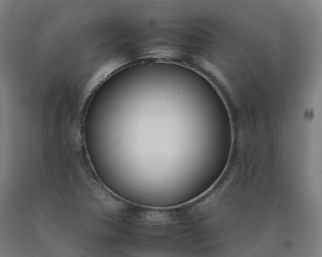 X0000092261362200709281155