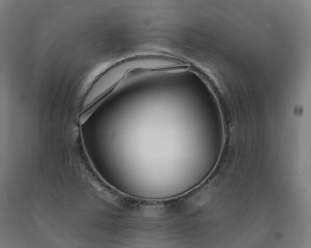 X0000092261363200709281155