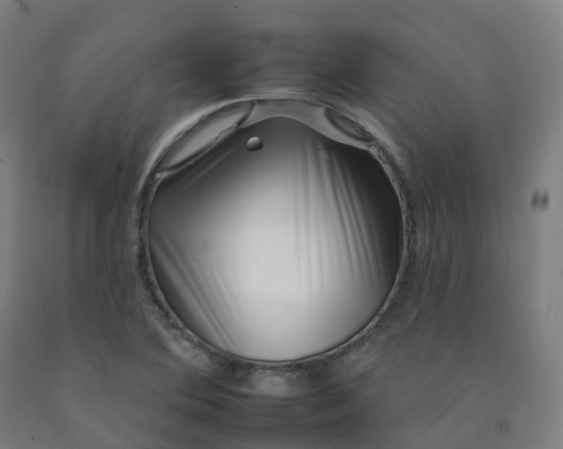 X0000092261364200709281155