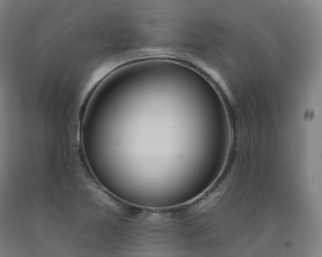 X0000092261365200709281155